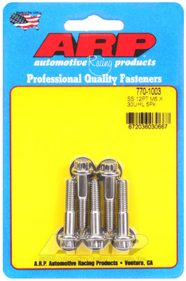 M6 x 1.00 x 30 12pt SS bolts