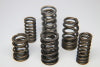 Description: Ferrea Acura/Honda B18C1/C3 305lbs Rate Inch Dual Valve Spring - Set of 16