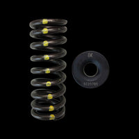 BC0070S - Honda D16Y8, D16Z6 Single Spring/Steel Retainer Kit