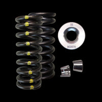 BC0088S - Honda L15B7/L15CA Spring/Steel Retainer/Keeper Kit