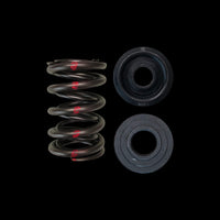 BC0090S - Honda C30A/C32B Spring/Steel Retainer/Spring Seat Kit