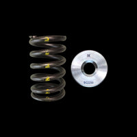 BC0250 - Nissan TB48 Single Spring/Titanium Retainer Kit