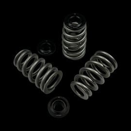 BC0460 - Chevy LS1 Conical Spring/Steel Retainer Kit
