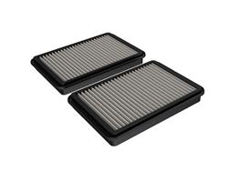 Air Filter Element, Pro Dry S, Synthetic, Panel, Ram, Pair