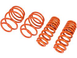 Coil Springs, Control Lowering Springs, Front and Rear, Orange, BMW, Set of 4