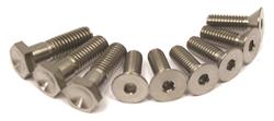 Harmonic Balancer Bolts, Titanium, Natural, Chrysler, Ford, Set of 9