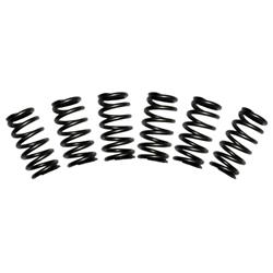BD Diesel Engine Exhaust Brake Valve Springs 1030060