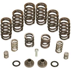 BD Diesel Governor Spring Kits 1040185