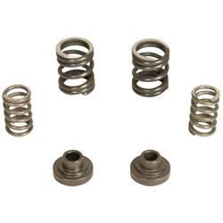 BD Diesel Governor Spring Kits 1040187