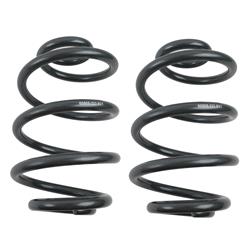 Lowering Springs, Rear, Silver Powdercoated, Buick, Chevy, Pair