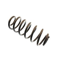 Spring, Rear Coil, Replacement, Chevy/GMC, with Air Level Ride, Each