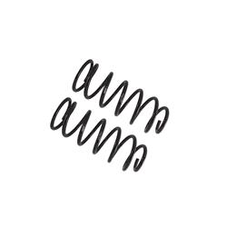 Coil Springs, B12 Special, Lifted Ride Height, 1.50-2.40 in. Raised Amount Range, Black, Rear, Lexus, Toyota, Pair