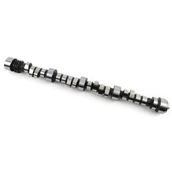 Camshaft, Hydraulic Roller Tappet, Advertised Duration 276/290, Lift .510/.510, Chevy, LT1/LT4, Each