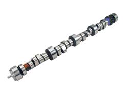 Camshaft, Hydraulic Roller Tappet, Advertised Duration 292/300, Lift .584/.579, Chevy, LT1/LT4, Each