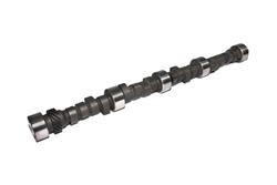 Camshaft, Hydraulic Flat Tappet, Duration 294 Int./306 Exh., Lift 0.588 Int./0.593 Exh., Lobe Separation 110, Chevy, BBC, 396-454, Each