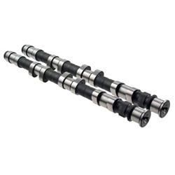 Camshaft, Hydraulic Roller Tappet, Advertised Duration 258/262, Lift .440/.436, Ecotec, L4, Pair