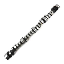 Camshaft, Hydraulic Roller Tappet, Advertised Duration 258/264, Lift .480/.487, Chevy, Small Block, Each