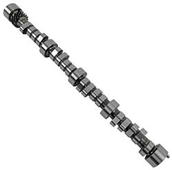 Camshaft, Hydraulic Roller Tappet, Advertised Duration 264/270, Lift .487/.495, Chevy, Small Block, Each