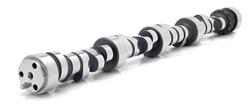 Camshaft, Hydraulic Roller, 295/293 intake, 307/305 Exhaust, .678/.677 in. Intake Lift, .661/.661 in Exhaust
