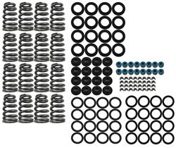 Valve Spring Kit, Beehive Springs, Retainers, Locks, Seals, Kit