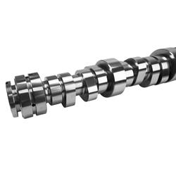 Camshaft, Hydraulic Roller Tappet, Godzilla Stage 3, Advertised Duration 295/308, Lift .671/.671, Ford, Each