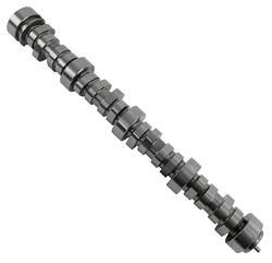 Camshaft, Hydraulic Roller Tappet, Advertised Duration 259/265, Lift .515/.522, Chevy, Small Block, LS