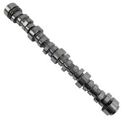 Camshaft, Hydraulic Roller Tappet, Advertised Duration 269/273, Lift .525/.532, Chevy, Small Block, LS