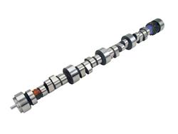 Camshaft, Hydraulic Roller Tappet, Advertised Duration 273/277, Lift .530/.534, Chevy, Small Block, LS