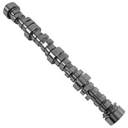 Camshaft, Hydraulic Roller Tappet, Advertised Duration 265/271, Lift .558/.563, Chevy, Small Block, LS