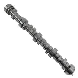 Camshaft, Hydraulic Roller Tappet, Advertised Duration 287/289, Lift .605/.609, Chevy, Small Block, LS