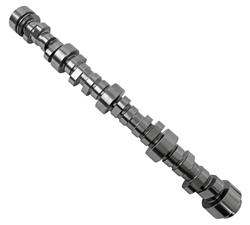 Camshaft, Hydraulic Roller Tappet, Advertised Duration 281/289, Lift .617/.624, Chevy, Small Block, LS