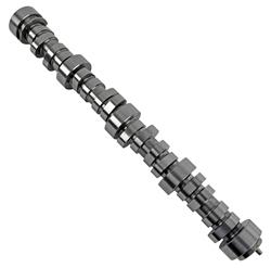 Camshaft, Hydraulic Roller Tappet, Advertised Duration 283/303, Lift .563/.546, Chevy, Small Block, LS