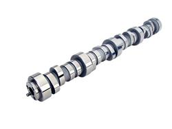 Camshaft, Hydraulic Roller Tappet, Advertised Duration 291/311, Lift .573/.558, Chevy, Small Block, LS