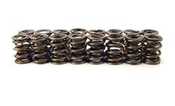 Valve Springs, Dual, 1.550 in. Outside Diameter, 566 lbs./in. Rate, 1.050 in. Coil Bind Height, Set of 16