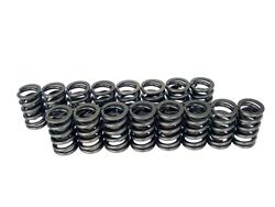 Valve Springs, Single, 1.254 in. Outside Diameter, 373 lbs./in. Rate, 1.150 in. Coil Bind Height, Set of 16