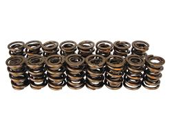 Valve Springs, Dual, 1.625 in. Outside Diameter, 630 lbs./in. Rate, 1.090 in. Coil Bind Height, Set of 16