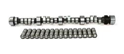 Cam and Lifters, Hydraulic Roller Tappet, Advertised Duration 264/269, Lift .488/.495, Chevy, Small Block, Kit