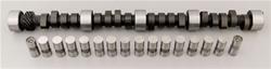 Cam and Lifters, Hydraulic Flat Tappet, Advertised Duration 286/286, Lift .556/.556, Chevy, Big Block, Kit