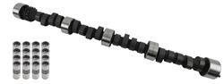 Cam and Lifters, Mechanical Flat Tappet, Advertised Duration 306/306, Lift .629/.629, Chevy, Big Block, Kit