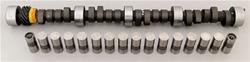 Cam and Lifters, Hydraulic Flat Tappet, Advertised Duration 270/270, Lift .470/.470, Chevy, Small Block, Kit