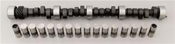 Cam and Lifters, Mechanical Flat Tappet, Advertised Duration 282/282, Lift .495/.495, Chevy, Small Block, Kit