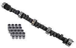 Cam and Lifters, Mechanical Flat Tappet, Advertised Duration 306/306, Lift .555/.555, Chevy, Small Block, Kit