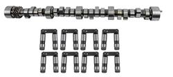 Cam and Lifters, Hydraulic Roller Tappet, Advertised Duration 270/276, Lift .495/.502, Chevy, Small Block, Kit
