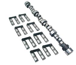 Cam and Lifters, Hydraulic Roller Tappet, Advertised Duration 288/294, Lift .520/.540, Chevy, Small Block, Kit