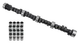 Cam and Lifters, Hydraulic Flat Tappet, Advertised Duration 286/293, Lift .483/.477, Chevy, Small Block, Kit