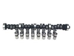 Cam and Lifters, Hydraulic Flat Tappet, Advertised Duration 284/291, Lift .484/.484, Mopar, Small Block, Kit