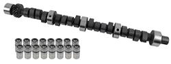 Cam and Lifters, Hydraulic Flat Tappet, Advertised Duration 280/280, Lift .480/.480, Mopar, Small Block, Kit
