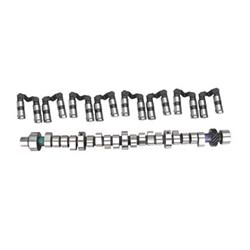 Cam and Lifters, Hydraulic Roller Tappet, Advertised Duration 291/311, Lift .522/.509, Mopar, Small Block LA