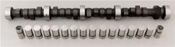 Cam and Lifters, Hydraulic Flat Tappet, Advertised Duration 292/292, Lift .534/.534, Ford, Small Block, Kit