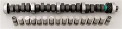 Cam and Lifters, Hydraulic Flat Tappet, Advertised Duration 295/313, Lift .512/.489, Ford, 351W, Kit